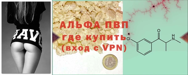сатива Радужный
