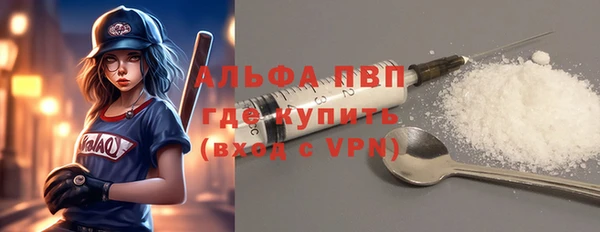 сатива Радужный