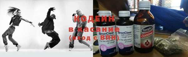 сатива Радужный