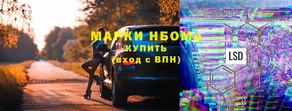 сатива Радужный