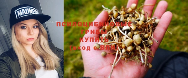 сатива Радужный